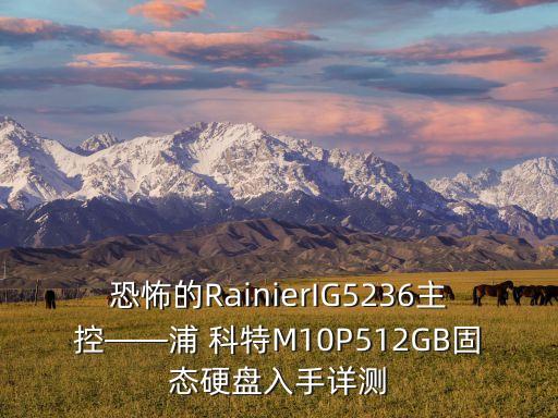 恐怖的rainierig5236主控——浦 科特m10p512gb固态硬盘入手详测