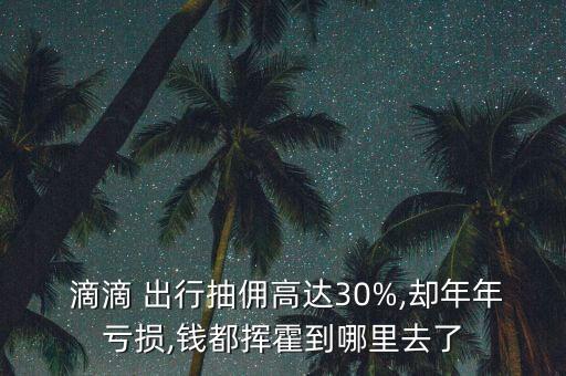  滴滴 出行抽佣高达30%,却年年亏损,钱都挥霍到哪里去了