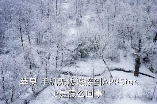 苹果 手机无法连接到appstore是怎么回事