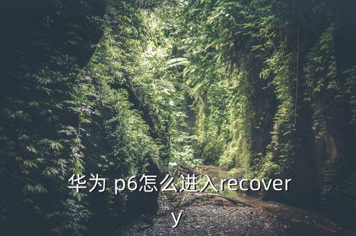  华为 p6怎么进入recovery