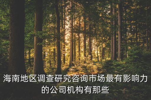 海南地区调查研究咨询市场最有影响力的公司机构有那些