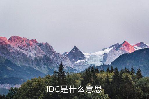 idc是什么意思