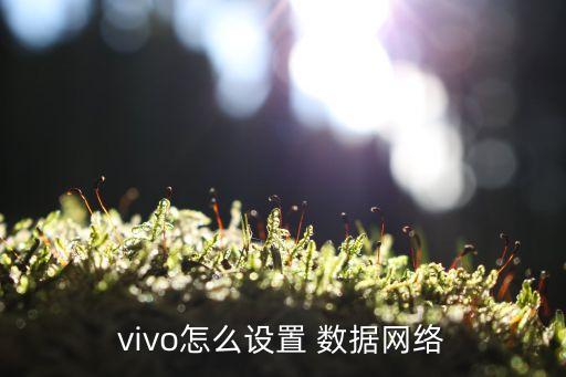 vivo怎么设置 数据网络