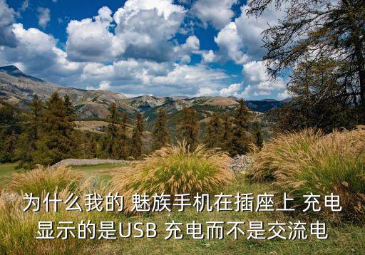 为什么我的 魅族手机在插座上 充电显示的是usb 充电而不是交流电