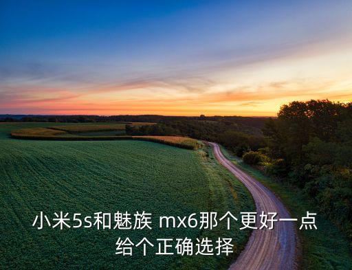 小米5s和魅族 mx6那个更好一点给个正确选择