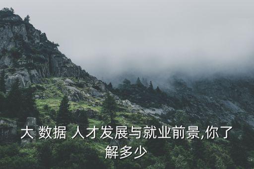 大 数据 人才发展与就业前景,你了解多少