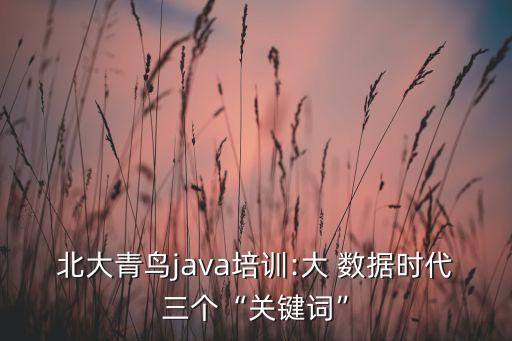 北大青鸟java培训:大 数据时代三个“关键词”