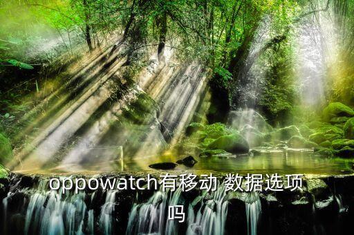 oppowatch有移动 数据选项吗