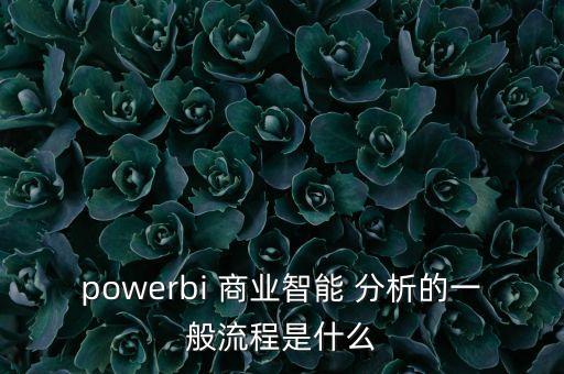 powerbi 商业智能 分析的一般流程是什么