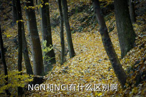 ngi，汽车ngi是什么意思