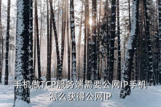 手机做tcp服务端需要公网ip手机怎么获得公网ip