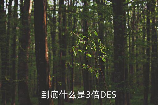 到底什么是3倍des