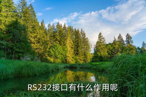 rs232c，rs232c串行数据接口