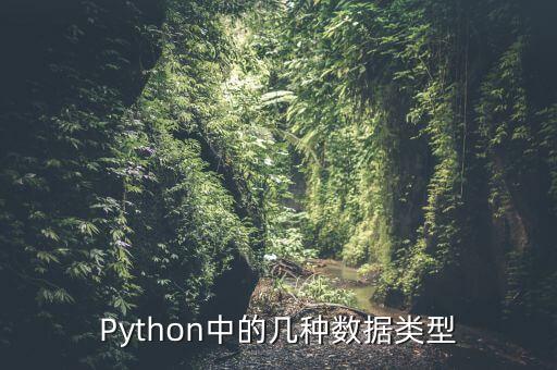 python中的几种数据类型