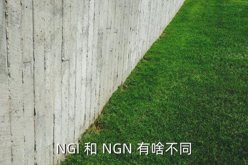 ngi 和 ngn 有啥不同