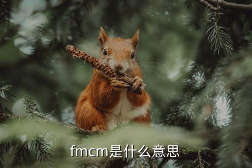 fmcm是什么意思