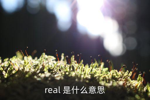 real 是什么意思