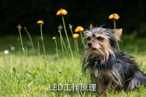 led的工作原理，led灯工作原理是什么