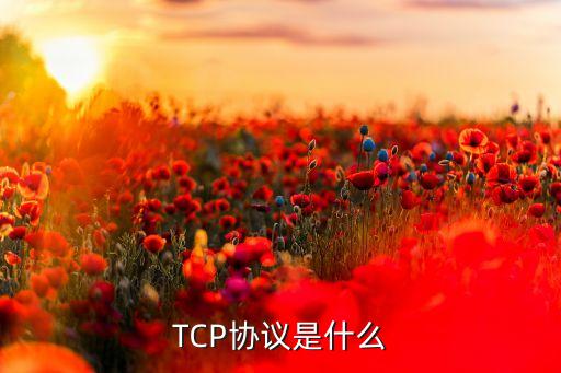 tcp协议是什么