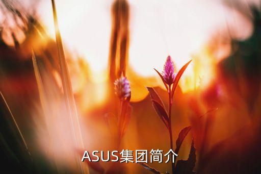 asus集团简介