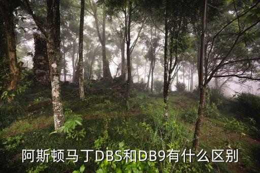 阿斯顿马丁dbs和db9有什么区别