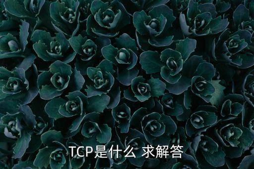 tcp是什么 求解答