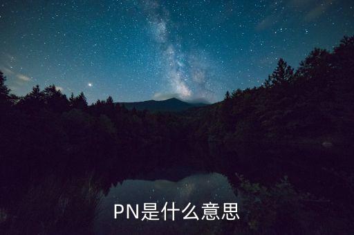 pn是什么意思