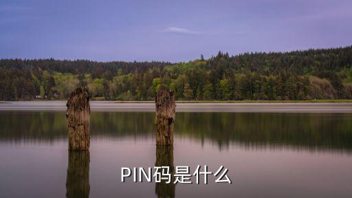 pin码，什么是pin码