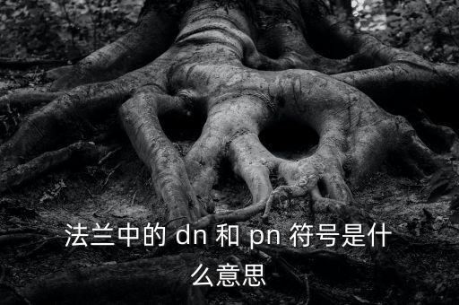 法兰中的 dn 和 pn 符号是什么意思