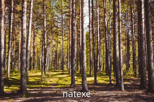 natexe