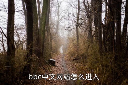 bbc中文网站怎么进入