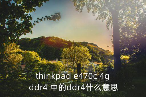 thinkpad e470c 4g ddr4 中的ddr4什么意思