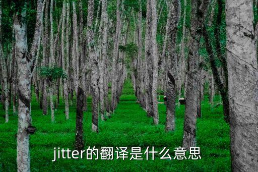 jitter的翻译是什么意思