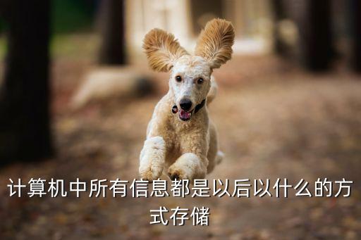 计算机中所有信息都是以后以什么的方式存储