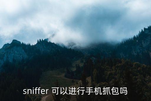 sniffer 可以进行手机抓包吗