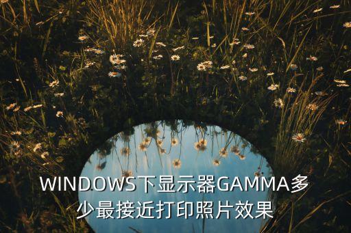 windows下显示器gamma多少最接近打印照片效果