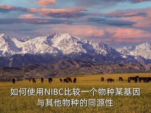 nibc，3米旗杆影长4米50米高的楼房影长多少米