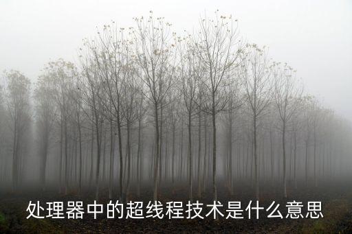 处理器中的超线程技术是什么意思