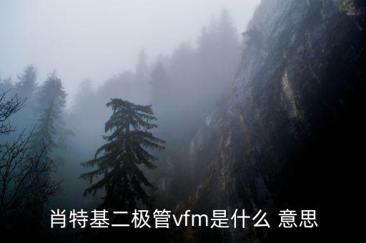 肖特基二极管vfm是什么 意思