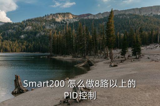 smart200 怎么做8路以上的pid控制