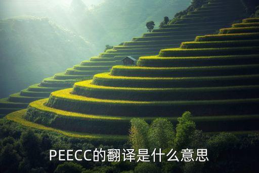 peecc的翻译是什么意思