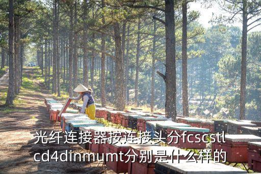 光纤连接器按连接头分fcscstlcd4dinmumt分别是什么样的