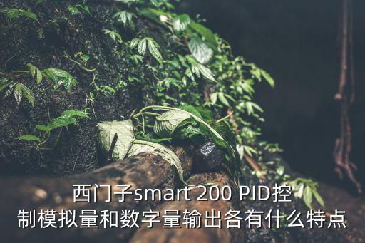 smart200，西门子smart 200 pid控制模拟量和数字量输出各有什么特点