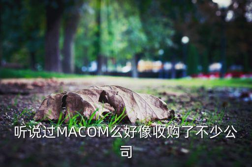 听说过macom么好像收购了不少公司