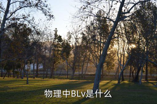 物理中blv是什么