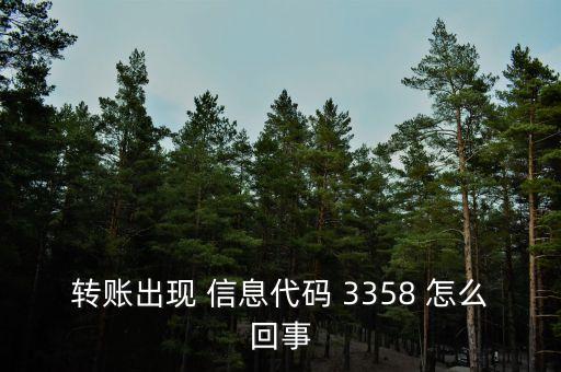 转账出现 信息代码 3358 怎么回事