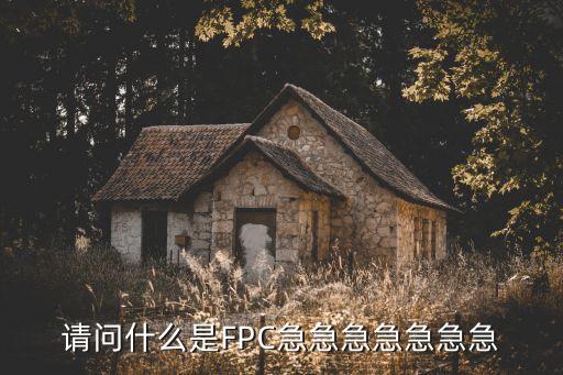 请问什么是fpc急急急急急急急