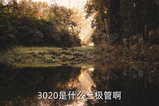 3020是什么三极管啊