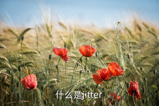 什么是jitter