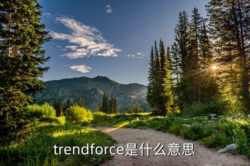 trendforce是什么意思